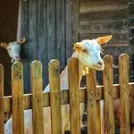 Séjour à la ferme Helianthus