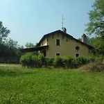 Helianthus * Oleggio