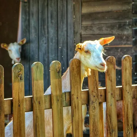 Agroturismo Helianthus