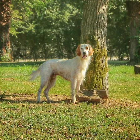 Helianthus Agroturismo *