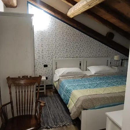 Helianthus * Oleggio