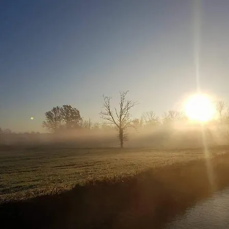 Bauernhof Helianthus Oleggio