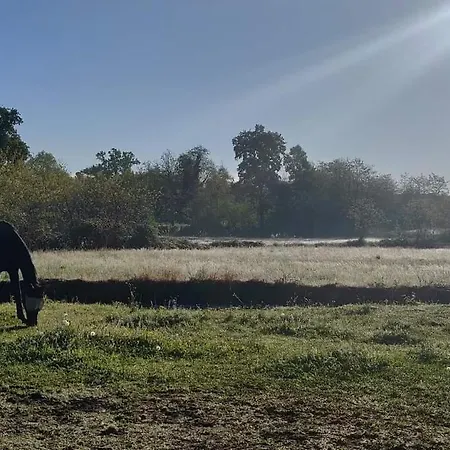 Helianthus Agroturismo