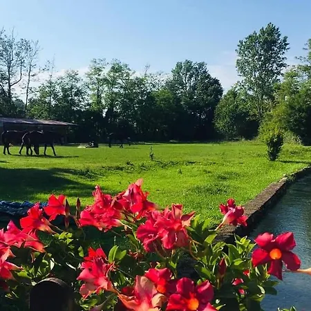 Helianthus Agroturismo Oleggio