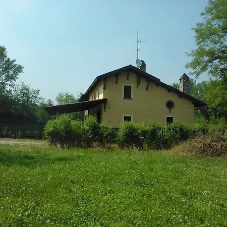 Helianthus * Oleggio