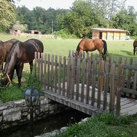 Helianthus Agroturismo Oleggio
