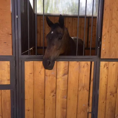 Helianthus Agroturismo *